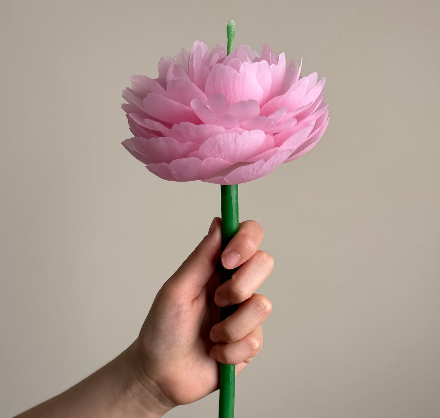 Peony Flower Candle